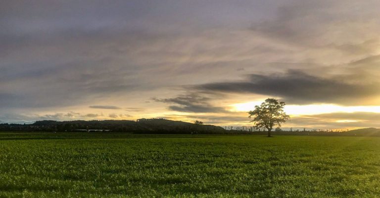 Der unsichtbare Leser