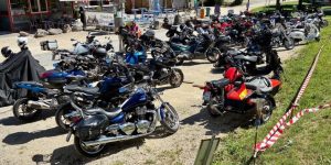 Bildindex Walter Stuber